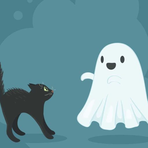 ghost-cat