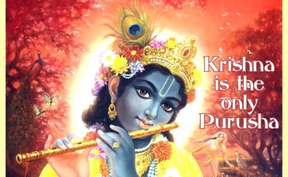 Krishna is the only Purusha