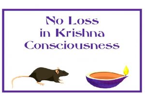 No Loss in Krishna Consciousness