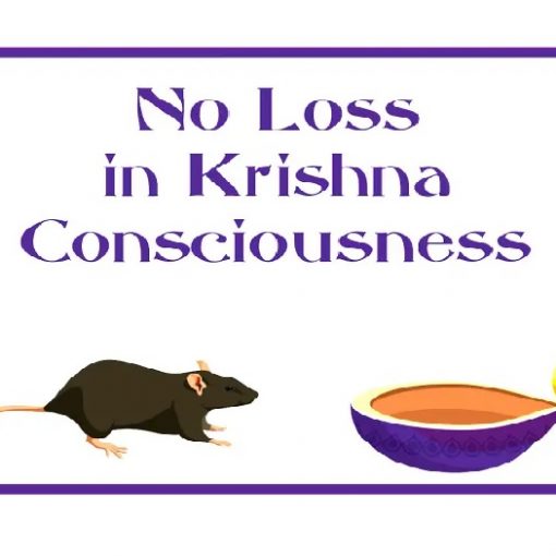 No Loss in Krishna Consciousness